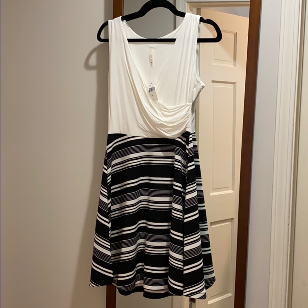 BNWT Gilli Dress